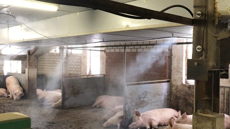 深圳速卖通代运营效果评估：关键指标与实操方法