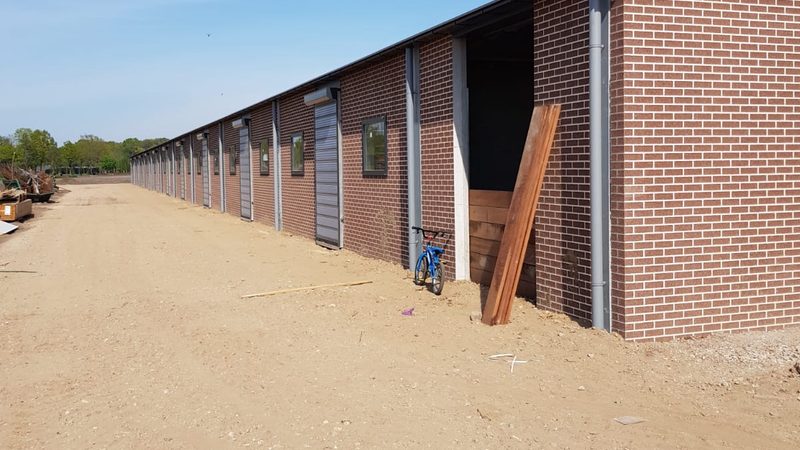 外贸独立站搭建：从规划到上线，你需要了解的周期与要点